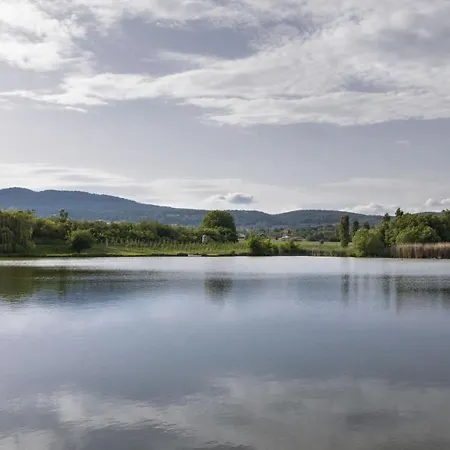 בית הארחה Kishosszuret Vendeghaz Pecsvarad