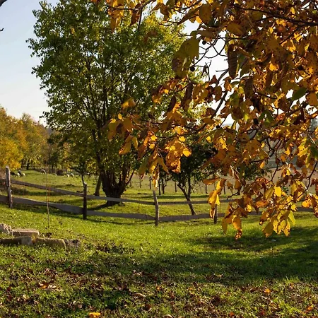 Kishosszuret Vendeghaz בית הארחה 4*