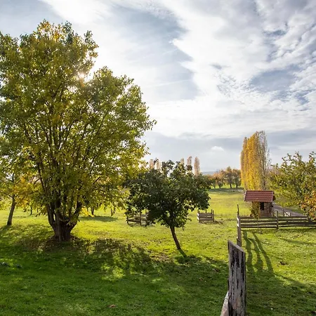 Kishosszuret Vendeghaz 4* Pecsvarad