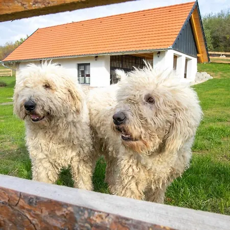 Kishosszuret Vendeghaz Pécsvárad