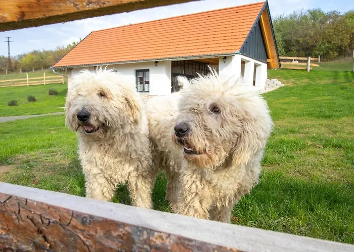 Kishosszuret Vendeghaz Pécsvárad